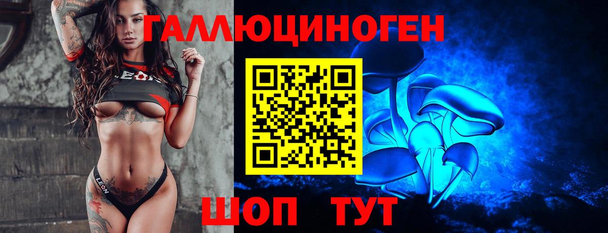 Галлюциногенные грибы Psilocybe Тихвин